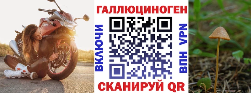 площадка Telegram  Киренск  Псилоцибиновые грибы мицелий 